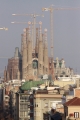 BarsN 0870
